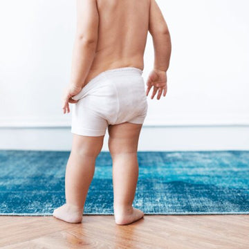 potty-training-tips